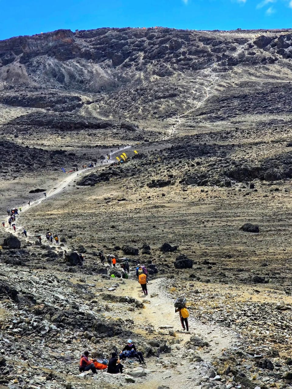 Lemosho Route Experience - View 1