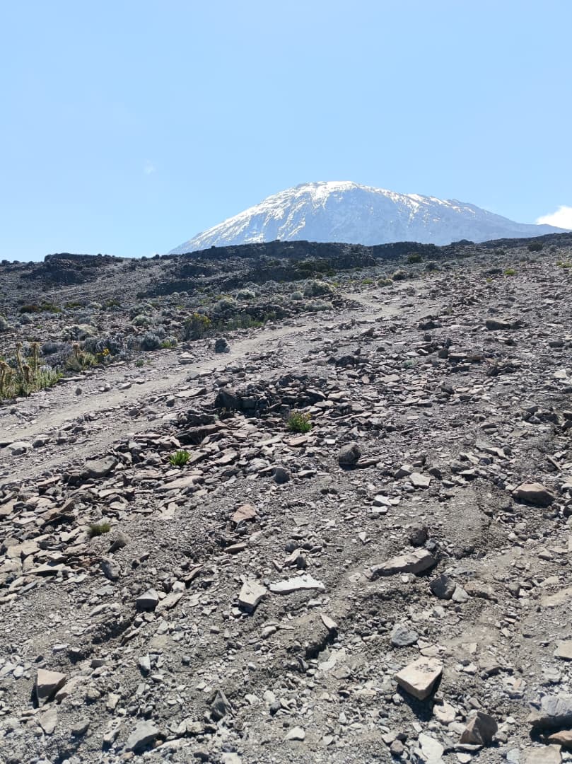 Lemosho Route Experience - View 2