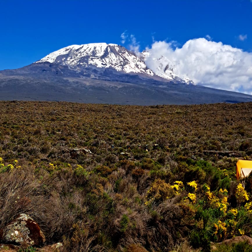 Lemosho Route Experience - View 6
