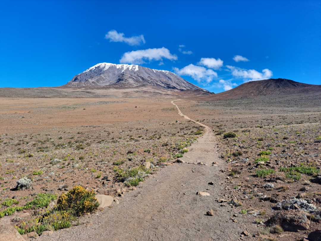 Marangu Route Experience - View 5