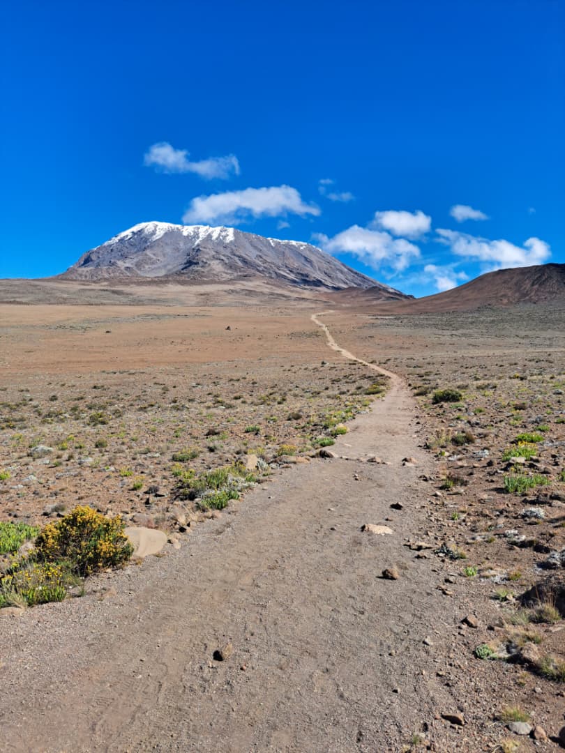 Marangu Route Experience - View 6